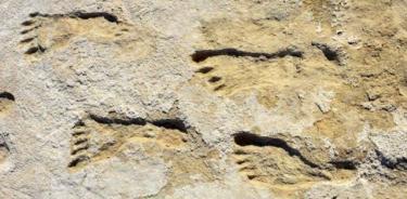 Huellas encontradas en el Parque Nacional White Sands en Nuevo México, consideradas la evidencia más temprana de actividad humana en las Américas..