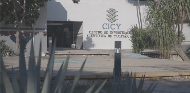 El Centro de Investigación Científica de Yucatán A. C.
