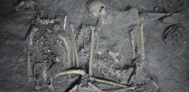 Restos óseos completos de una hembra de mono araña de 1.700 años de antigüedad hallados en Teotihuacán, México.