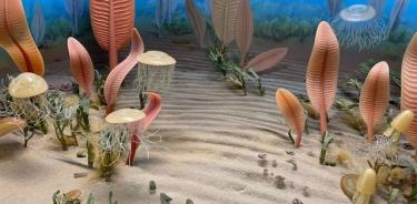 Diorama que representa criaturas marinas de la era de Ediacara.