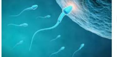 La infertilidad masculina, tema tabú en nuestros días, que es tratable