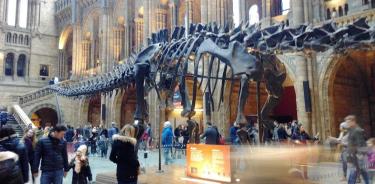 Una vista del Museo de Historia Natural de Londres.