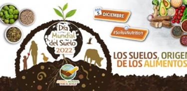 Campaña de divulgación de la FAO, para celebrar el 5 de diciembre como día mundial del suelo, recordando que de ahí vienen nuestros alimentos. https://www.fao.org/world-soil-day/campaign-materials/en/