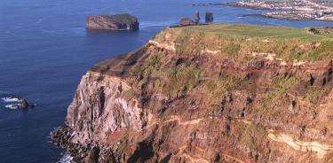 Hasta ahora se desconocía cuándo estos insectos llegaron a la isla de Madeira.