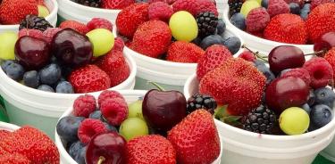 Es recomendable consumir plantas, frutas, pescados y semillas, que tengan un alto contenido de antioxidantes.