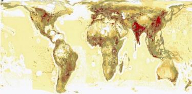 2 Del beige (menos) al rojo (más), el mapa muestra el impacto global de la producción de alimentos sobre el medio ambiente. India y China ejercen la mayor presión sobre el medio ambiente.