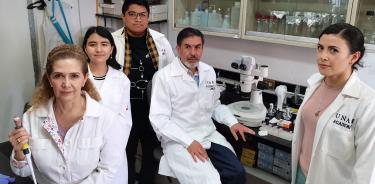 Los resultados de la investigación del Doctor Juan Miranda Río y su equipo fueron publicados en la revista PNAS.
