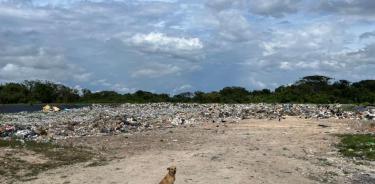 La zona natural protegida de Yum Balam se ha convertido en un tiradero de basura a cielo abierto
