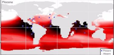 Distribución del foraminífero planctónico G. Hexagonus afiliado a bajo oxígeno y del oxígeno a ~600 m en los océanos modernos y del Plioceno.