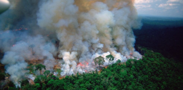 La pérdida de la Selva Amazónica es un factor muy importante. Alcanzó uno de sus máximos en deforestación con las políticas bolsonaristas.