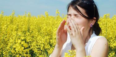 En diferentes partes del mundo se ha identificado que entre el 15 y 25 por ciento de la población presenta algún tipo de alergia al contacto con polen.
