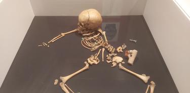 Una imagen de los restos óseos de un infante que representa a Huitzilopochtli.