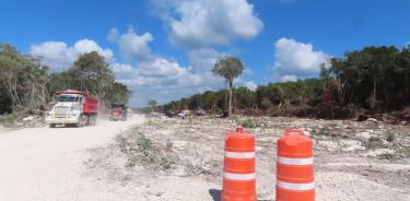 Destrucción de la selva para construir la vía de paso del Tren Maya.