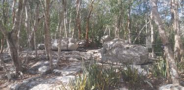 Alrededor del Cenote Sagrado hay una serie de esculturas de ranas.