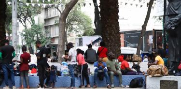 Campamento la Pequeña Haití en la plaza Giordano Bruno en la colonia Juárez