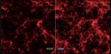 Distribución de materia primordial en modelos cosmológicos con materia oscura caliente (WDM, izquierda) y materia oscura fría (CDM, derecha).