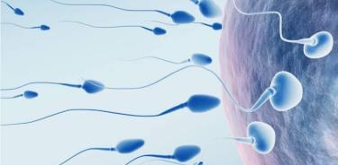 La infertilidad masculina, hoy en día, tampoco es obstáculo para alcanzar el sueño de tener hijos. Igual que para las mujeres, hay tratamientos médicos efectivos