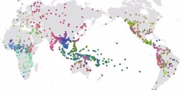 El código de colores representa la distribución de idiomas de acuerdo con los tres primeros componentes principales de un análisis de componentes principales mapeado en el espacio de color RGB (PC1 = rojo, PC2 = verde y PC3 = azul). - MPI F.