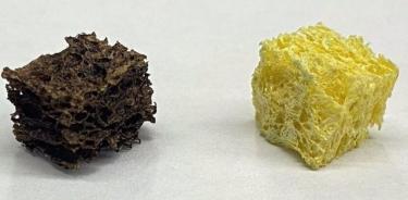 Esponja recubierta de nanopartículas (izquierda) junto a una esponja de celulosa sin recubrir.