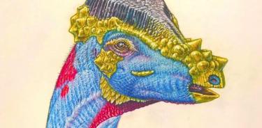 La representación de un artista de una especie de paquicefalosaurio recién descrita que se denominó Platytholus clemensi.