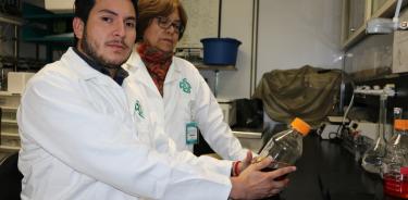 David Julián Arias Chávez, realizó su investigación adscrito a los laboratorios de Guadalupe Bravo (en la imagen) y Norma Leticia Gómez Víquez, del Departamento de Farmacobiología del Cinvestav.