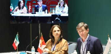 Comisionada presidenta del INAI, Blanca Lilia Ibarra Cadena y el comisionado Adrián Alcalá Méndez.