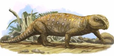 Reconstrucción del rincosaurio Bentonyx del Triásico Medio de Devon, hace unos 245 millones de años.