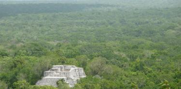 Una vista de la Reserva de la Biósfera de Calakmul, Campeche.