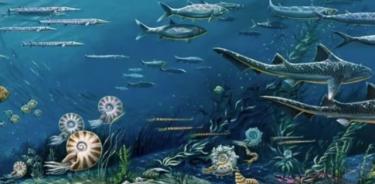 El movimiento en las placas tectónicas de la Tierra provoca indirectamente explosiones de biodiversidad en ciclos de 36 millones de años al obligar a los niveles del mar a subir y bajar.