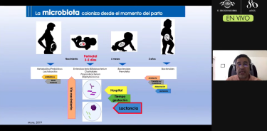 Leopoldo Santos explicó la secuencia de procesos que ocurren para la construcción de la microbiota y el sistema inmune, desde el nacimiento.