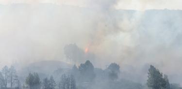 Las llamas crecen en el municipio de Puntagorda, en la isla de La Palma