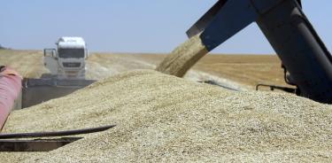 Moscú paró el acuerdo de exportación de grano a través del mar Negro