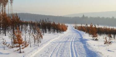 Una vista de Siberia.