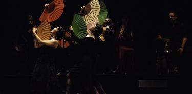 La danza flamenca con “Mujeres de Colores”