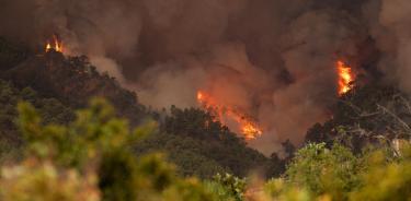 El combate al incendio forestal en Tenerife es muy complicado debido a la orografía del terreno