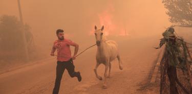 Un granjero trata de salvar a un caballo en uno de los incendios activos en Grecia