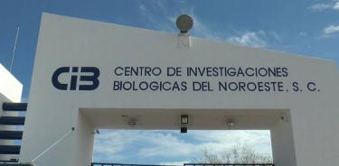 El Centro de Investigaciones Biológicas del Noroeste.