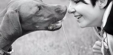 Los perros muestran una mayor sensibilidad cerebral al discurso dirigido a ellos que al discurso dirigido por adultos, especialmente si lo hablan mujeres.