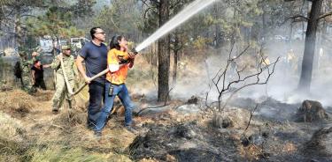CDMX es la entidad con menor superficie afectada por un incendio forestal y menor tiempo de combate