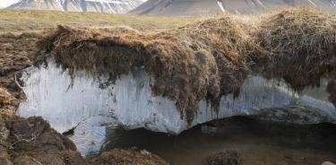 Una imagen del permafrost.