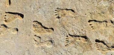 Las huellas fosilizadas encontradas en el Parque Nacional White Sands de Nuevo México.