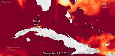 strés térmico para el coral en las aguas circundantes de Cuba, Florida y Bahamas.
