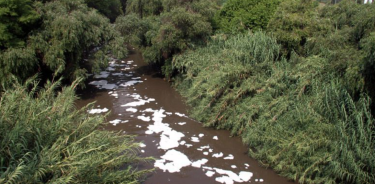 Por la alta contaminación del Río Atoyac, se considera que los habitantes de zonas aledañas presentan los mayores daños genotóxicos del país.