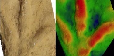 Una de las huellas parecidas a pájaros de Maphutseng, Lesotho (izquierda), y un mapa de profundidad en colores falsos de la impresión (derecha).