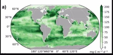 Distribución del flujo de carbono orgánico desde la capa superficial del océano abierto.