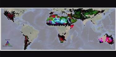 El EMIT de la NASA produjo sus primeros mapas globales de hematita, goethita y caolinita en las regiones secas de la Tierra. La misión recopiló miles de millones de mediciones de diez minerales que pueden afectar el clima en tormentas de polvo.