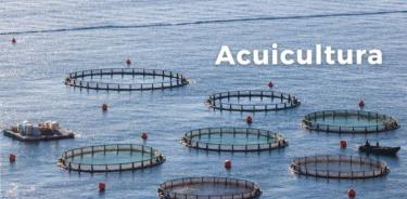 Acuicultura