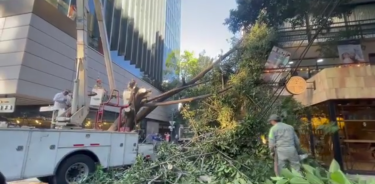 Activan alerta amarilla por fuertes vientos en todas las alcaldías