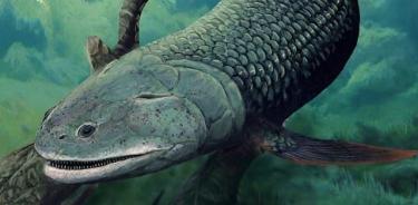 Reconstrucción de la vida de Harajicadectes zhumini, un pez con aletas lobuladas de 40 cm de largo que no está muy relacionado con los peces que dieron lugar a los primeros tetrápodos con extremidades.