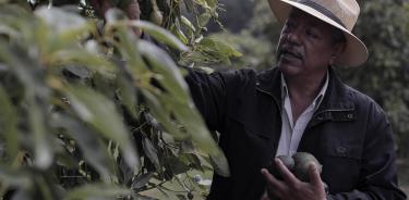 El ingeniero Cuauhtémoc Montero reconoce alta demanda del fruto en Estados Unidos/